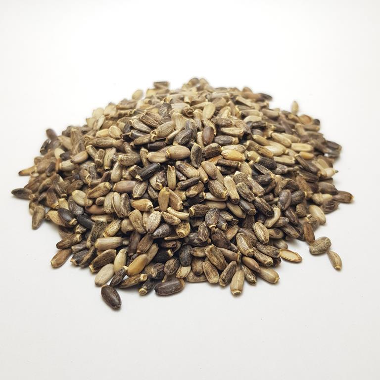 Milk Thistle Seeds, Silybum Marianum