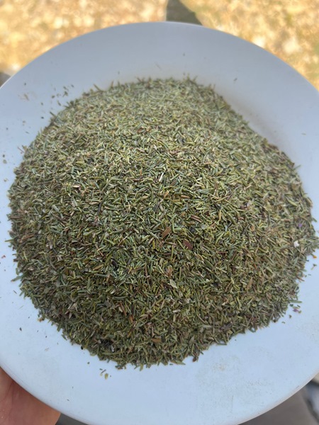 Thyme, Thymus Vulgaris, Тимьян, Чабрец